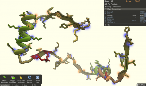 wholeprotein